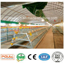 Best Price Automatic a Type Pullet Chicken Cage